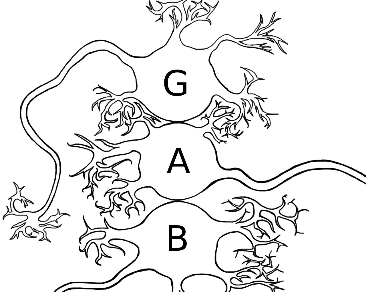 ARTICOLO Cesare Todescato: Verso un nuovo modello strutturale: gli stati dell’Io tra teoria e neuroscienze