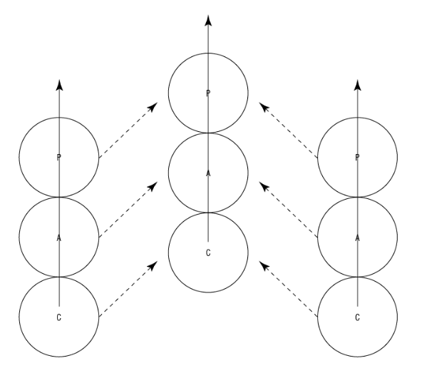 The Autonomy Matrix