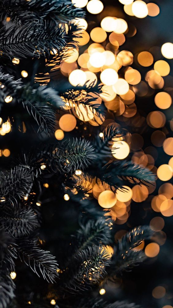 Auguri di buone feste